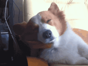 지하철 내릴 역 지나쳤을때.gif | 인스티즈