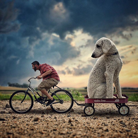 이런 강아지가 있으면 키운다vs안키운다 | 인스티즈
