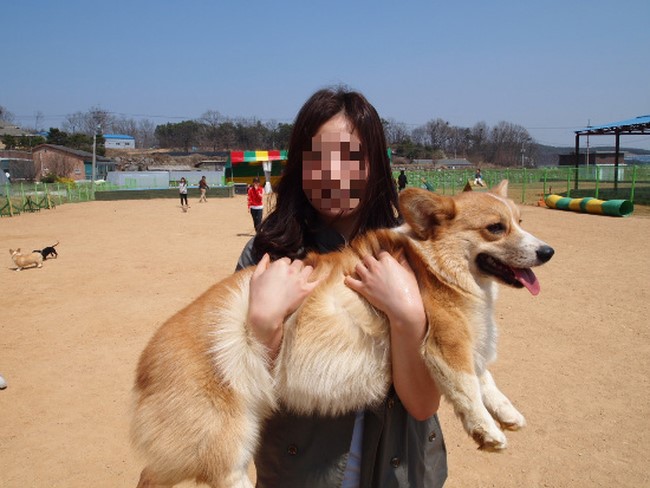 소형견 이미지가 강한 강아지 투톱 | 인스티즈
