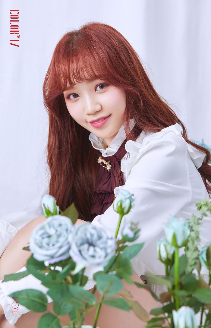 아이즈원 컨셉 컬러Ver. vs 로즈Ver | 인스티즈