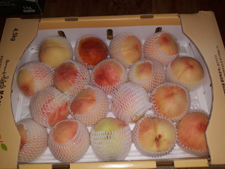 진실농원 이미지