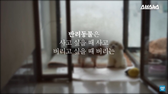  사람들이 홍대에서 인형을 뽑다 우는 이유는? | 인스티즈