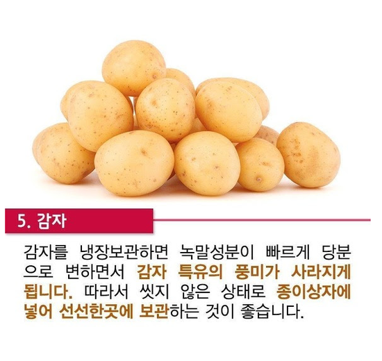 냉장고에 절대 넣지 말아야 할 음식 | 인스티즈