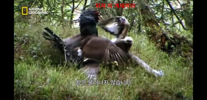 분노조절을 잘 해야하는 이유 | 인스티즈