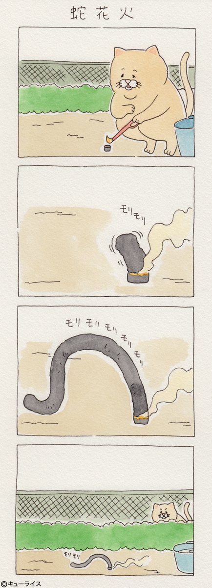 유감스러운 고양이 -3- | 인스티즈