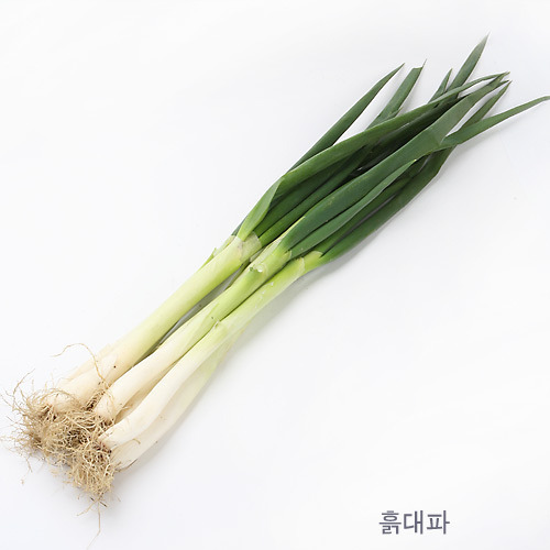 여러분들이 가질 소소한 능력 고르기 | 인스티즈