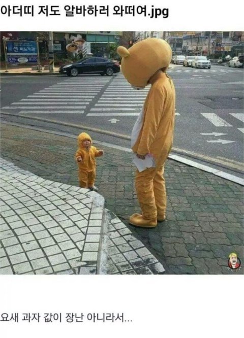 사랑스러운 애깅이들 | 인스티즈