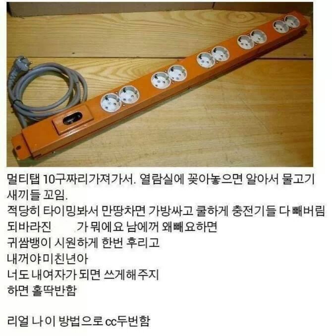 신입생 꿀팁 | 인스티즈