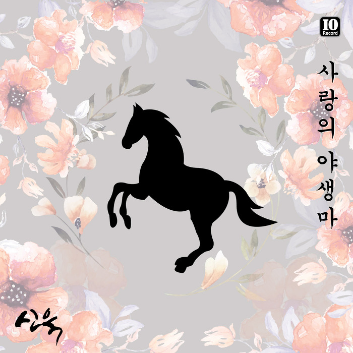 야생마 이미지