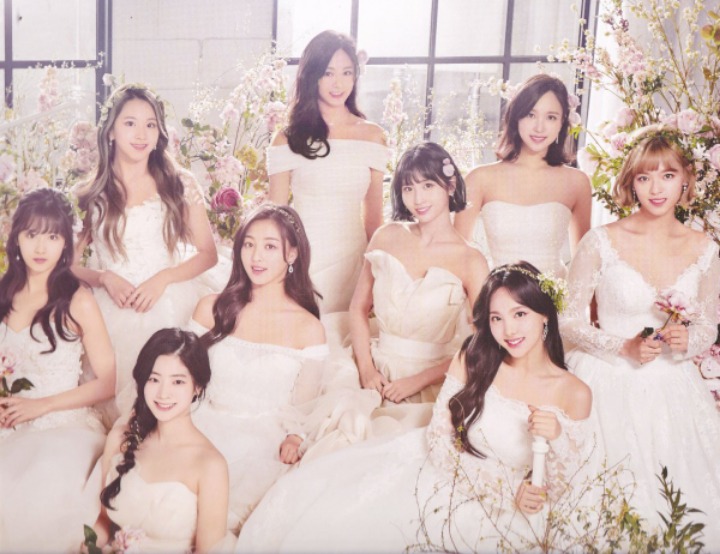 트와이스 9명 웨딩 드레스 (데이터 주의) | 인스티즈