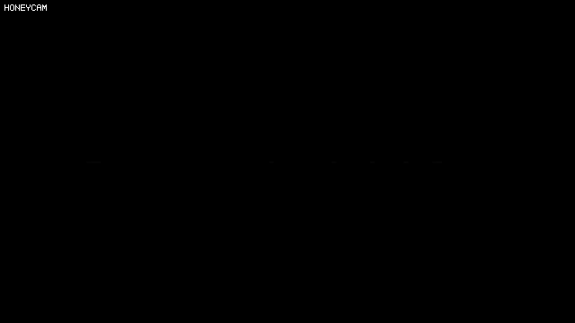 흰티에 청바지입고 춤추는 앨리스 소희.gif | 인스티즈