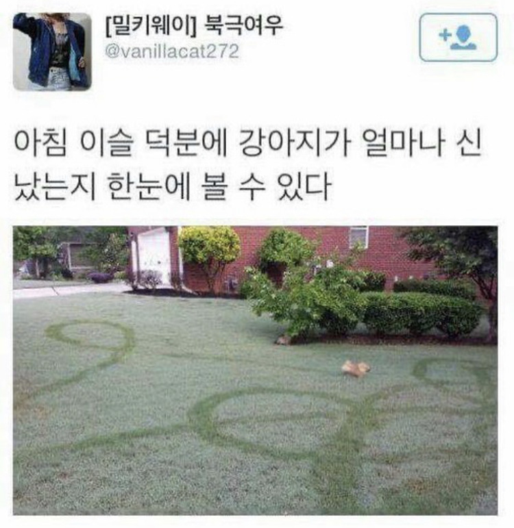 개신남 이미지