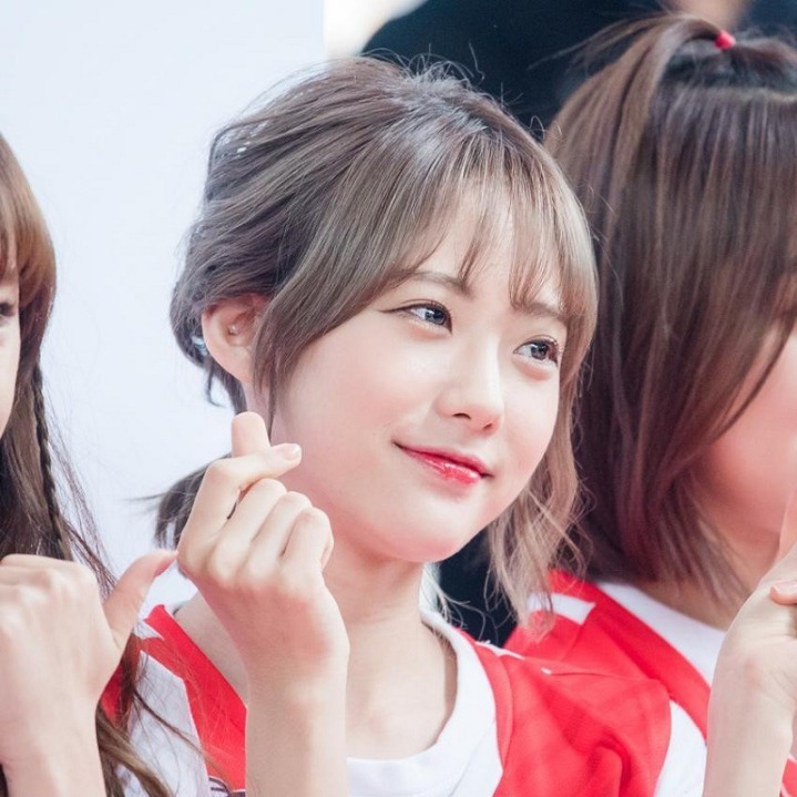 2018년 새해 첫 루다 | 인스티즈