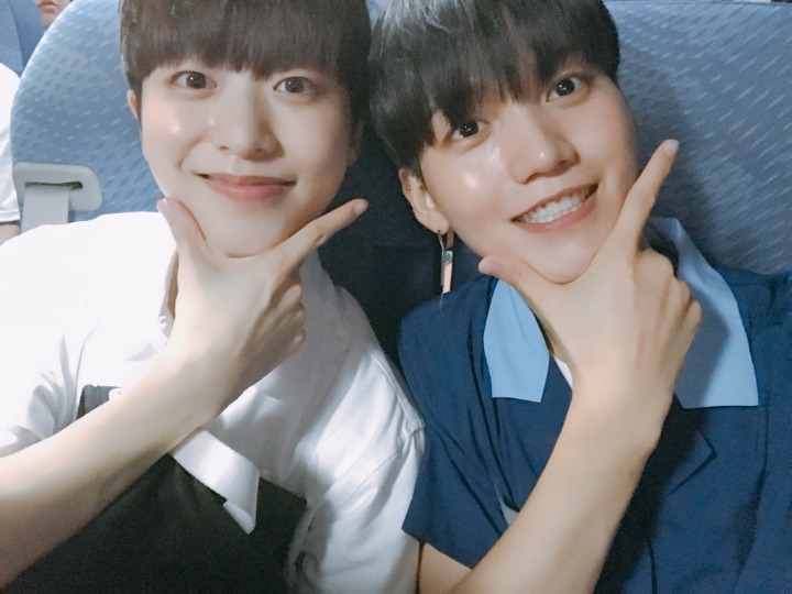 라운 이미지