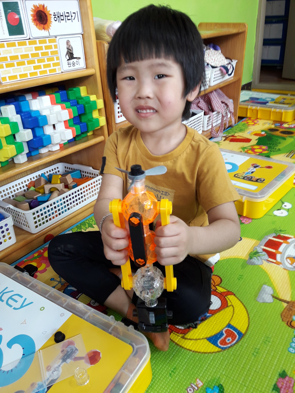 헬리 이미지