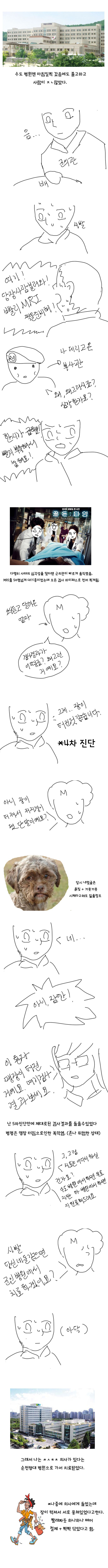 군대에서 맹장터진 만화 jpg | 인스티즈