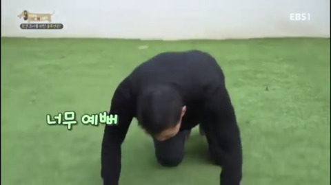 반려견 키우는 사람들은 99%가 안다는 그 사람.jpg | 인스티즈