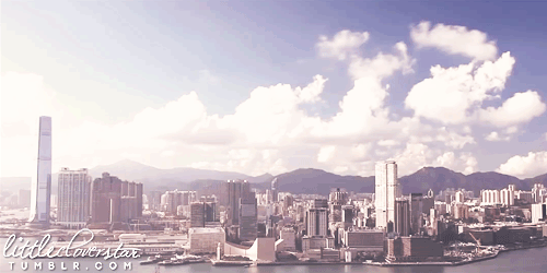 호불호 꽤나 갈리는 여행지 홍콩.jpgif | 인스티즈