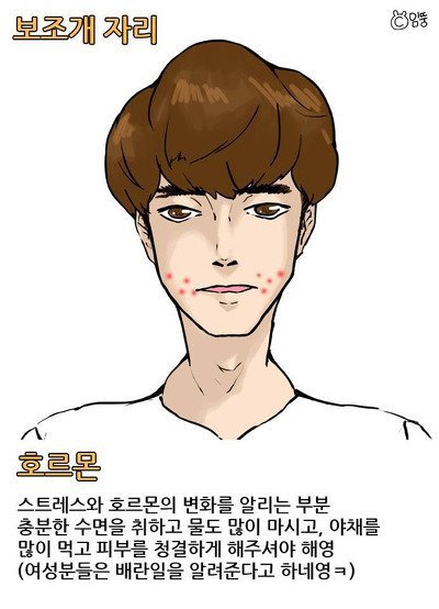 여드름 위치에 따른 건강상태 | 인스티즈