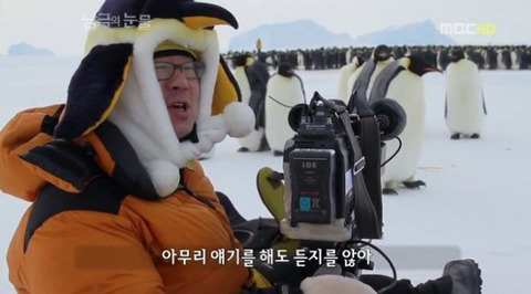 짱귀탱인 남극의 눈물 촬영 당시 펭귄들.gif | 인스티즈