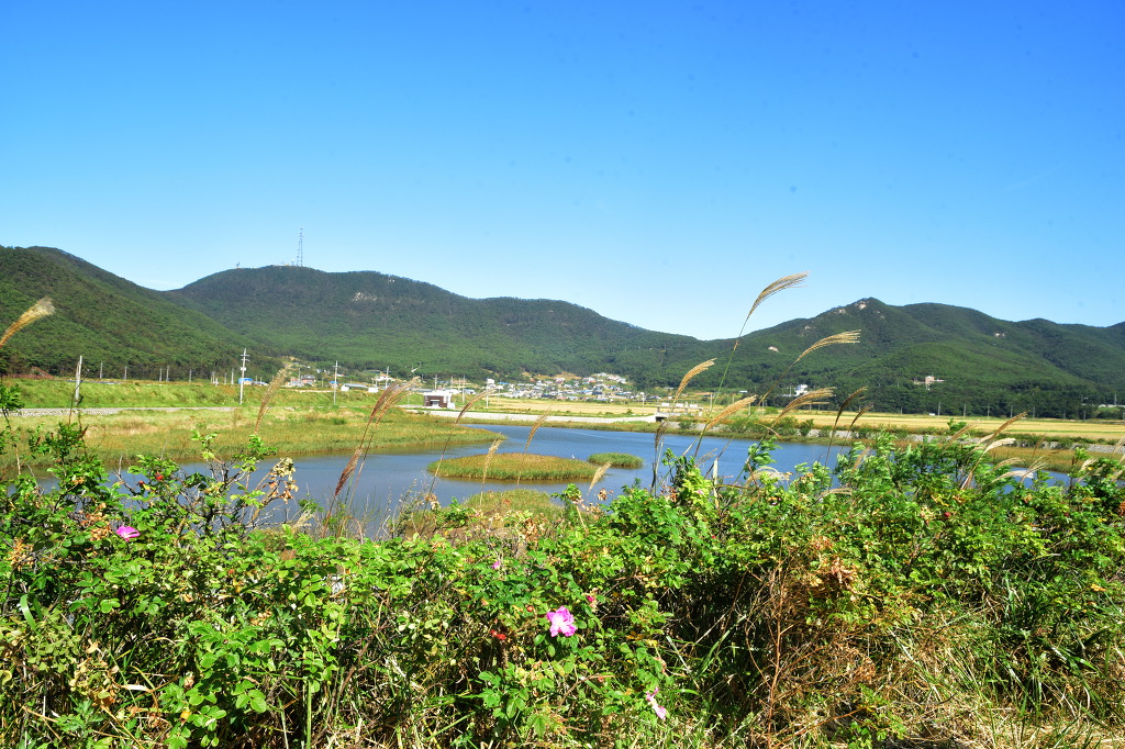 산내음 이미지