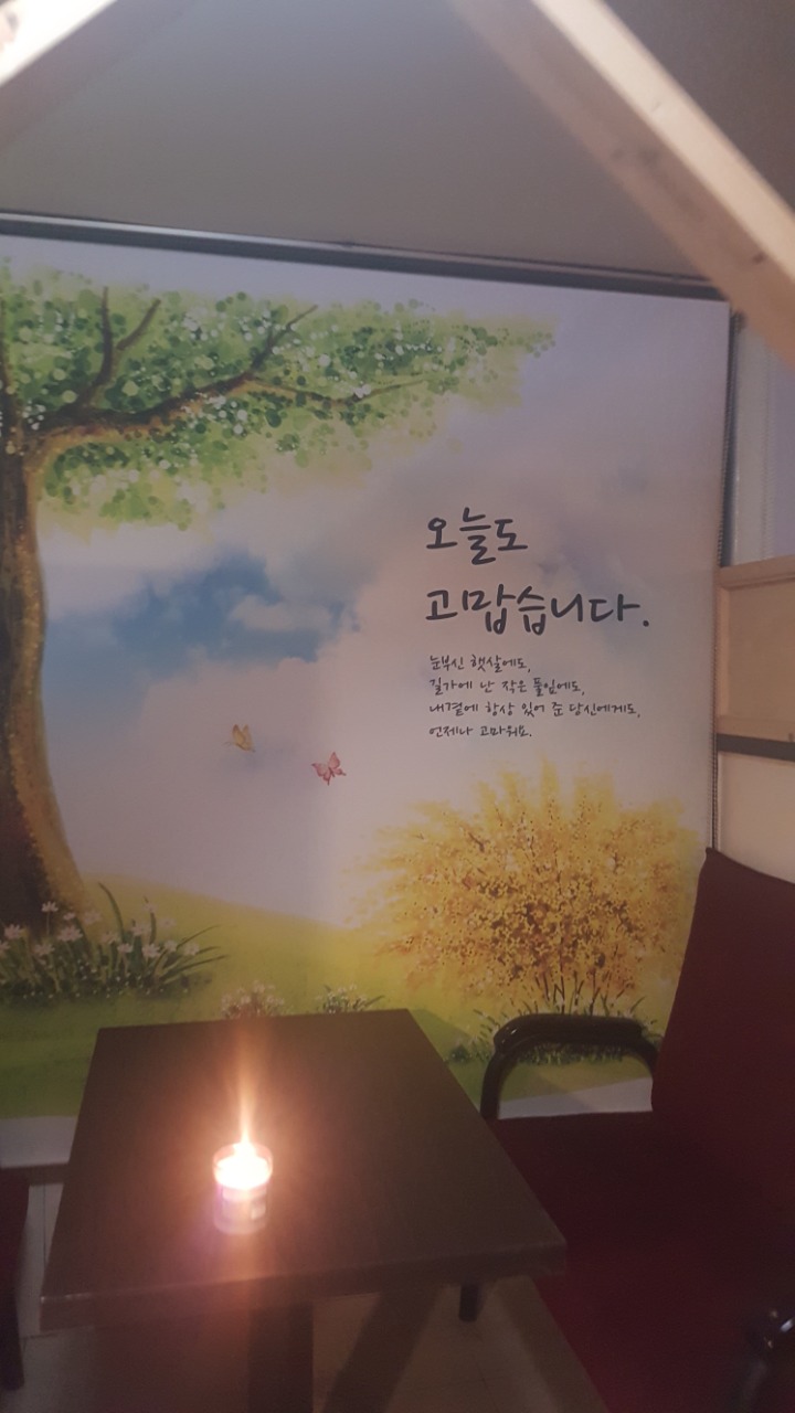 비바노래연습장 이미지