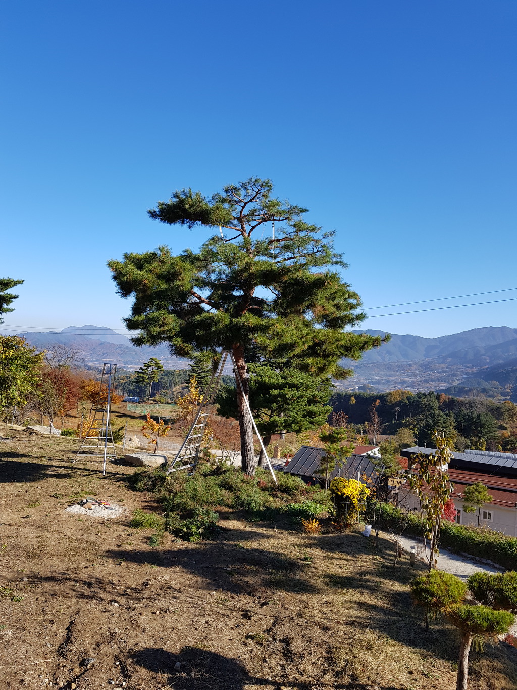 (주)가나조경 이미지