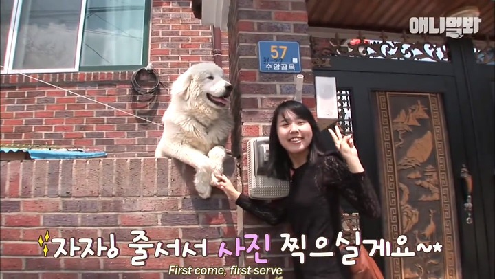 모른척 지나가면 짖는 삼식이.jpg | 인스티즈