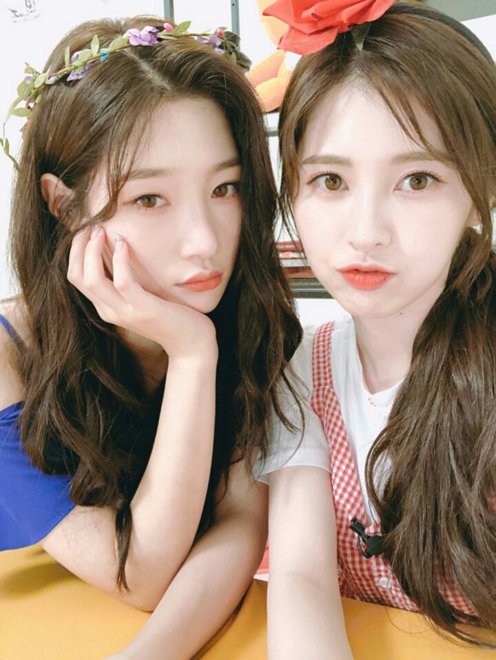 다이아 예빈 채연(움짤주의) | 인스티즈