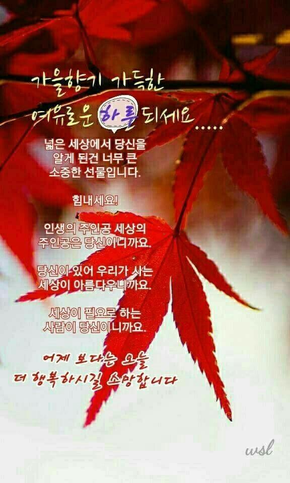 육하원칙 이미지