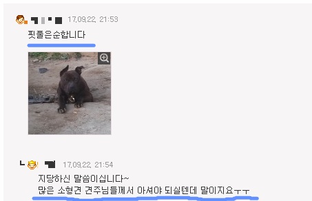 투견 핏불 산책시킬때 입마개 안하는 핏불카페회원들 | 인스티즈