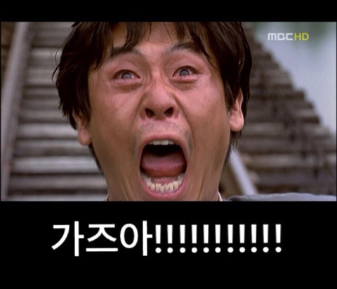 재밋는 사진들 모음(가즈아!!! 등등) | 인스티즈