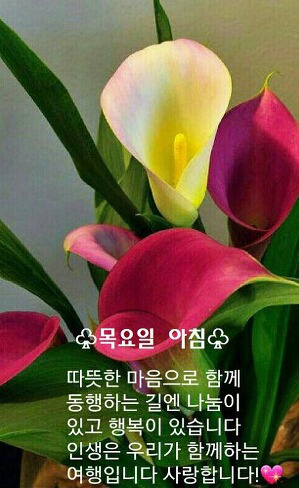 멋진하루 이미지
