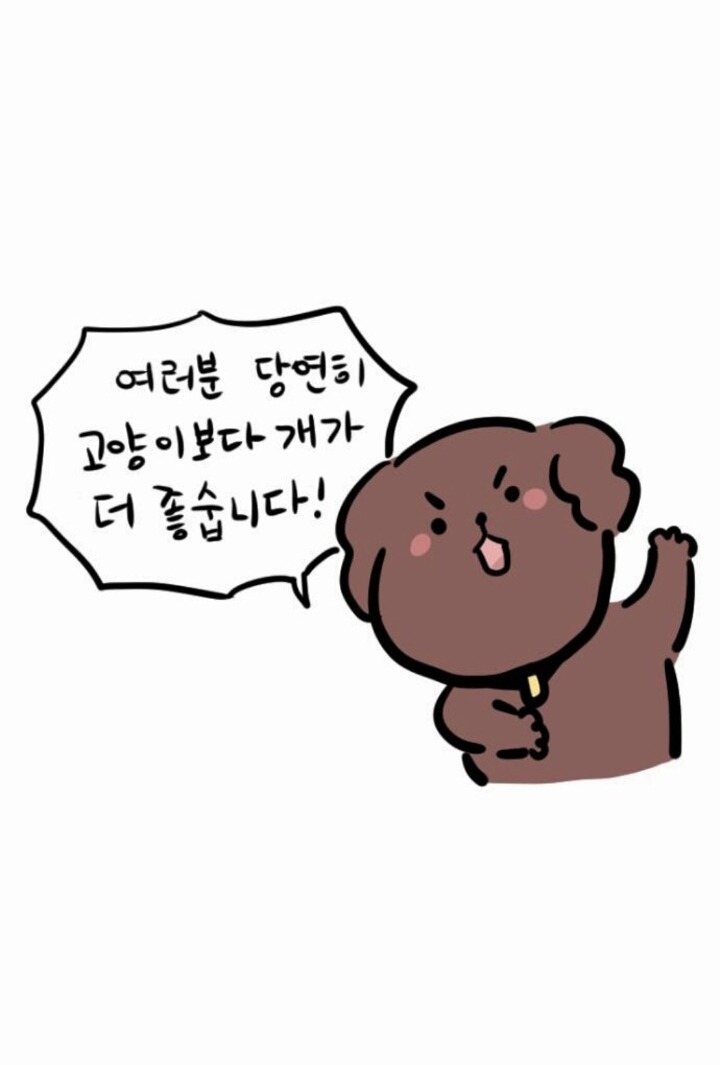 개와 고양이의 차이 | 인스티즈