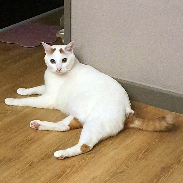 성내중학교 이미지