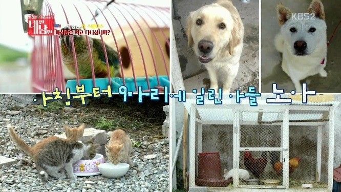 미국 남편 VS 한국 마누라 | 인스티즈
