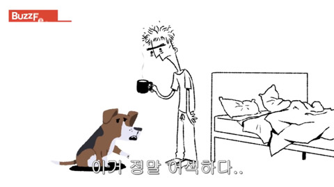 [동물] 만약 개들이 사과할 수 있다면? | 인스티즈