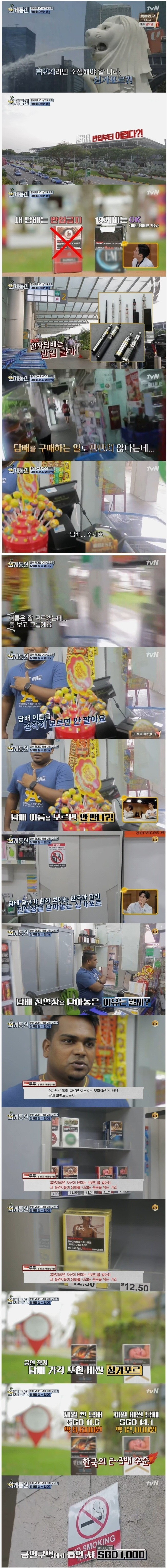 싱가포르 의 흡연규제 | 인스티즈