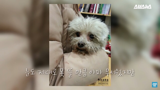  사람들이 홍대에서 인형을 뽑다 우는 이유는? | 인스티즈