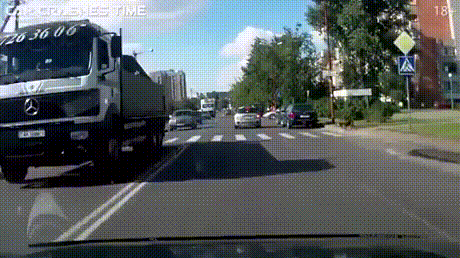 무단횡단 안하는 개과 고양이ㄷㄷㄷ.gif | 인스티즈