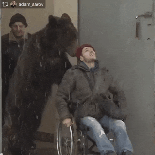 몸이 불편해도 하루에 한번 산책은 꼭 해주는 반려인간.gif | 인스티즈