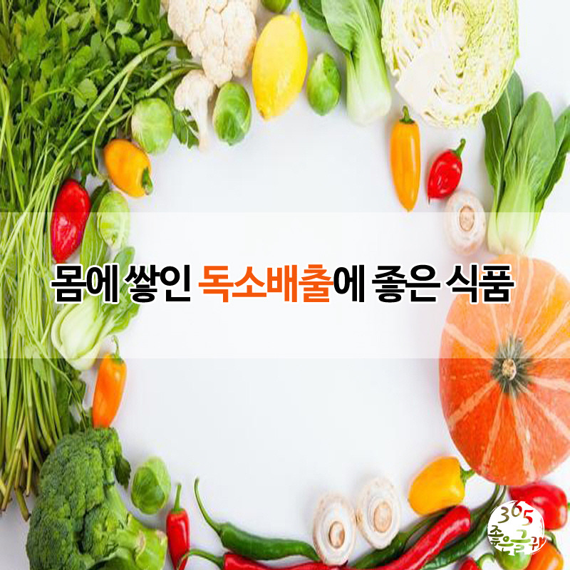 좋은식품 이미지