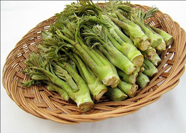 식약동원 이미지