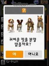 내 첫 랜선 댕댕이 | 인스티즈