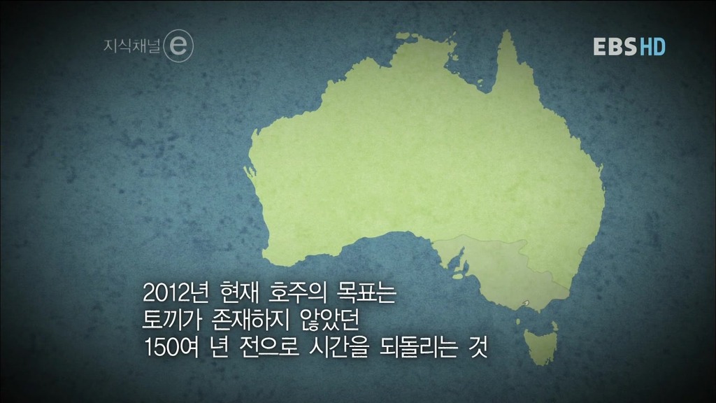 호주의 토끼전쟁 | 인스티즈