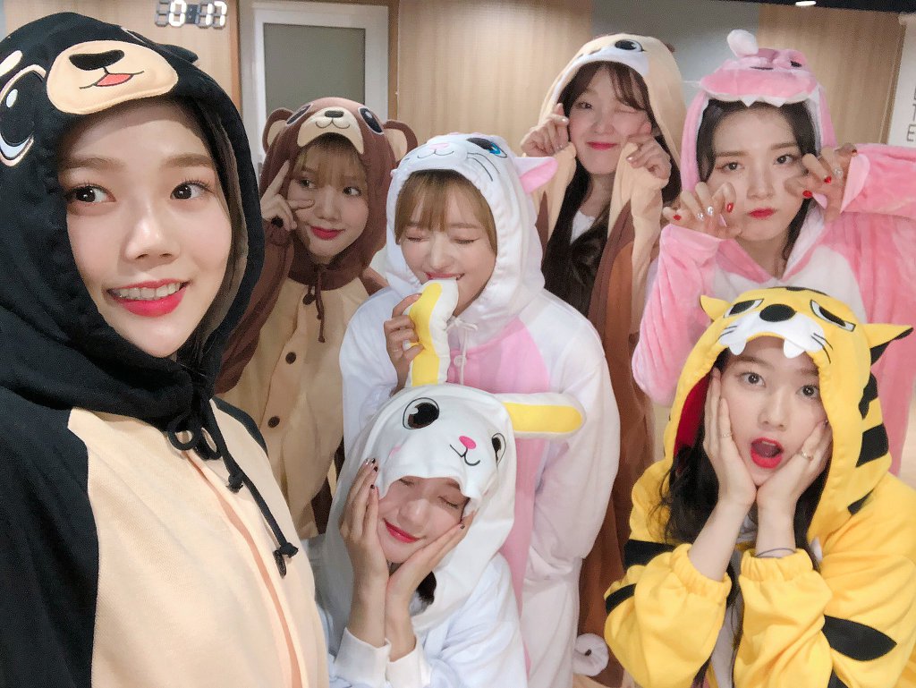 동물잠옷 입고 브이앱 방송한 오마이걸 | 인스티즈