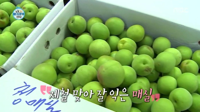 [나혼자산다] 매실 사러 농수산물시장에 간 이국주.jpg | 인스티즈